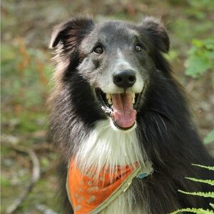 Meet your Posher, Kara